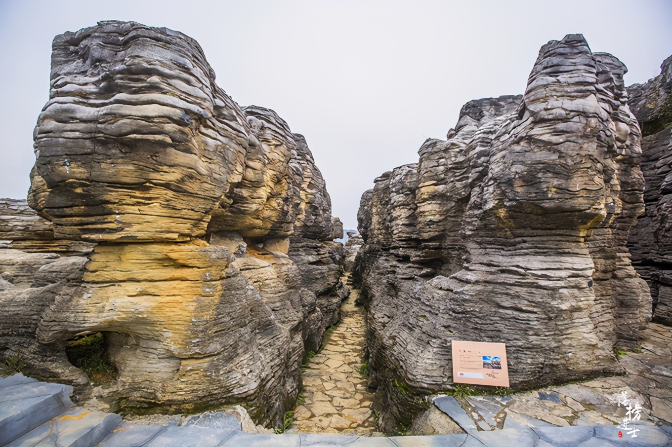 黄山西递古村落景点简介,黄山市西递古村落图片