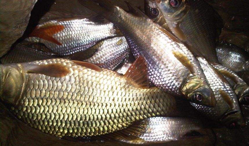 夏季夜钓的8个注意事项,夜钓安全防护