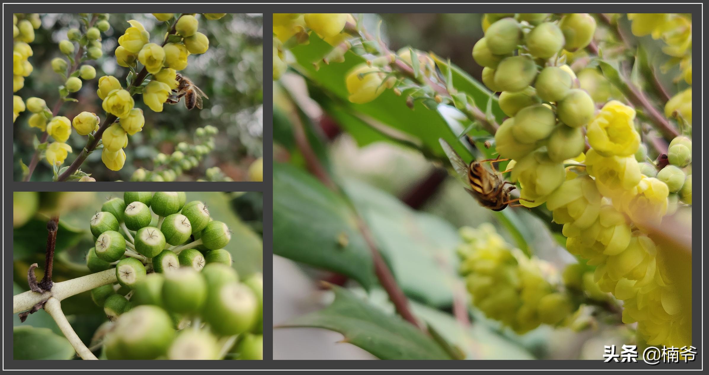 2022年还能入手oppofindx2pro吗,oppofindx2pro断黑版评测