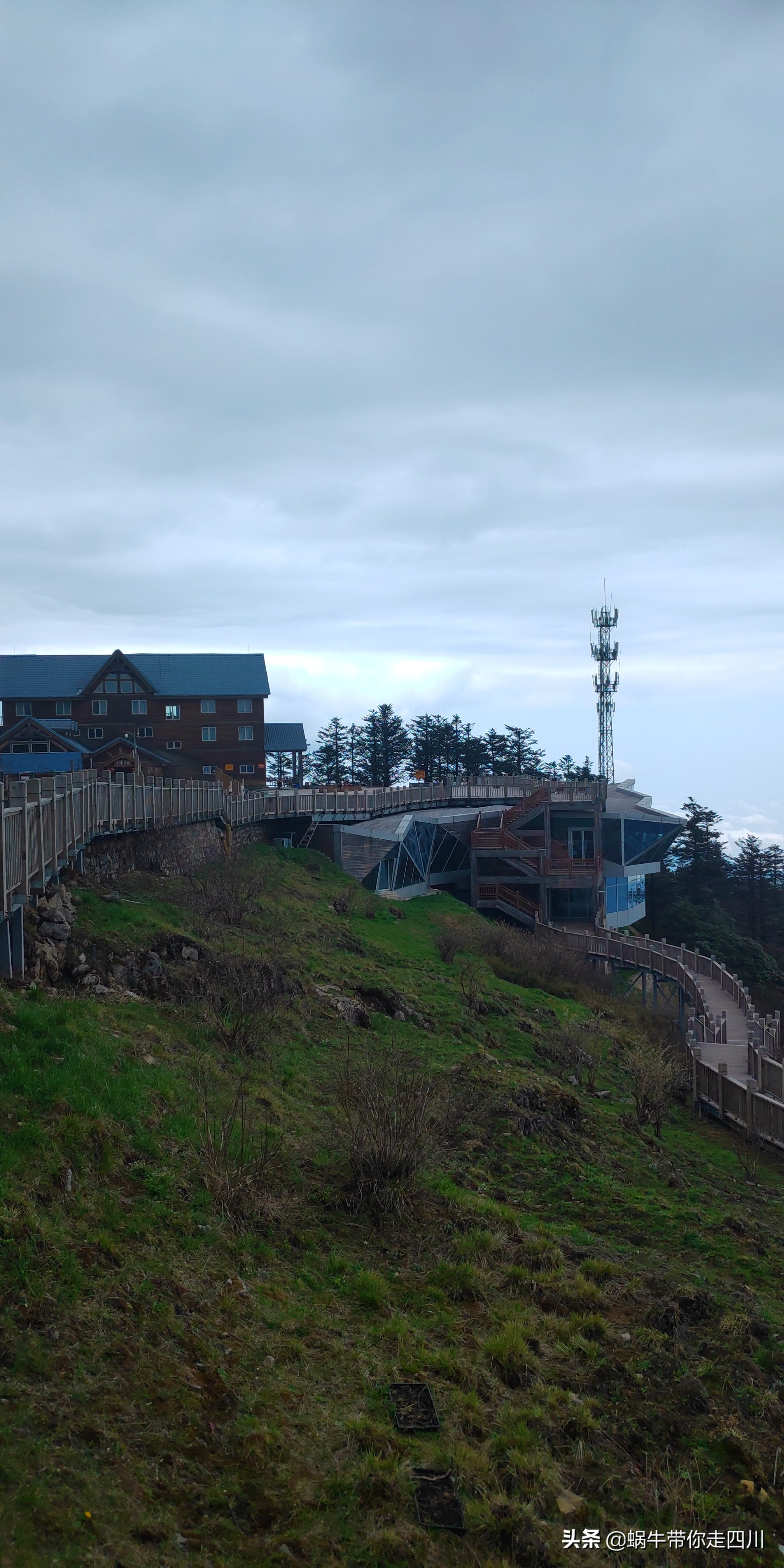 成都去西岭雪山两天一夜旅游团,成都出发雪山旅游