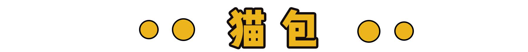 新到家猫咪需要做什么体检,猫咪到家第一夜铲屎官怎么做