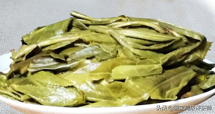 老班章口感鉴别,老班章饼茶怎么鉴别