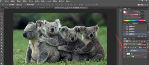 帕萨特车灯光哪里开,帕萨特车灯高度可以调节么