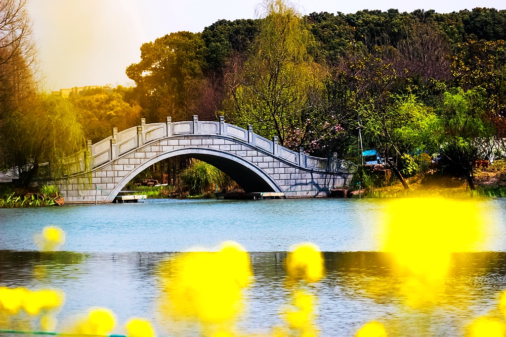 上海世博文化公园有梨花开吗,上海园林文化公园