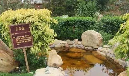 博罗怡情谷温泉度假村在哪个镇,惠州博罗怡情谷温泉度假村简介