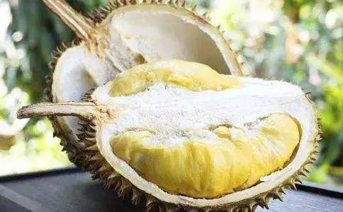 喝红酒忌口食物是什么食物,喝红酒不能和什么食物一起吃