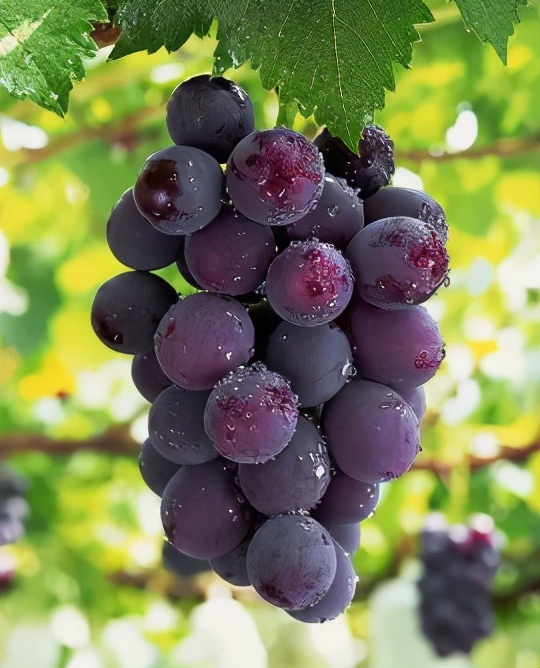 此按摩非彼按摩,硬嗑乳房按摩那些事儿