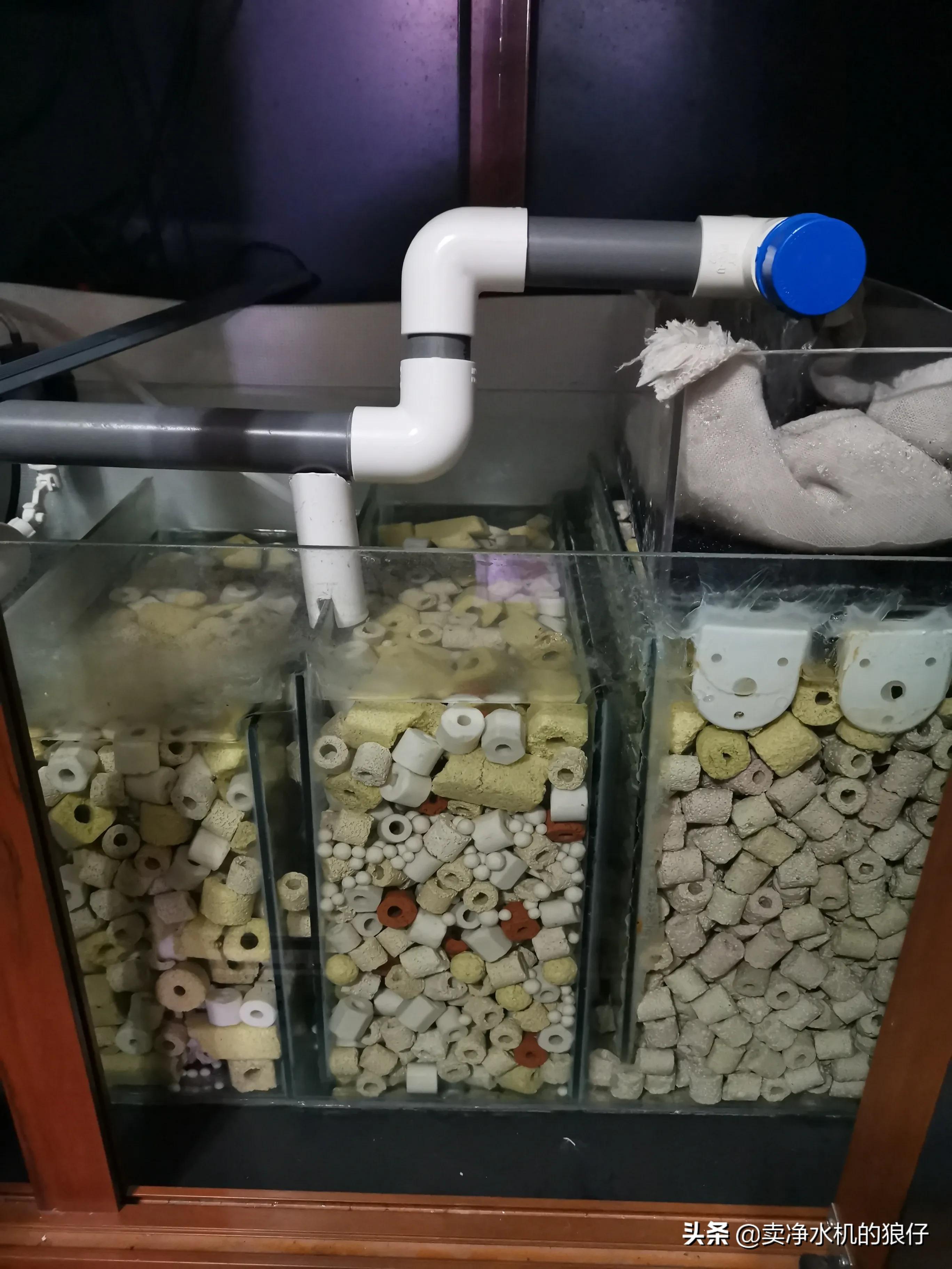 如何让小鱼缸变成空气缸,如何让鱼缸出现空气缸