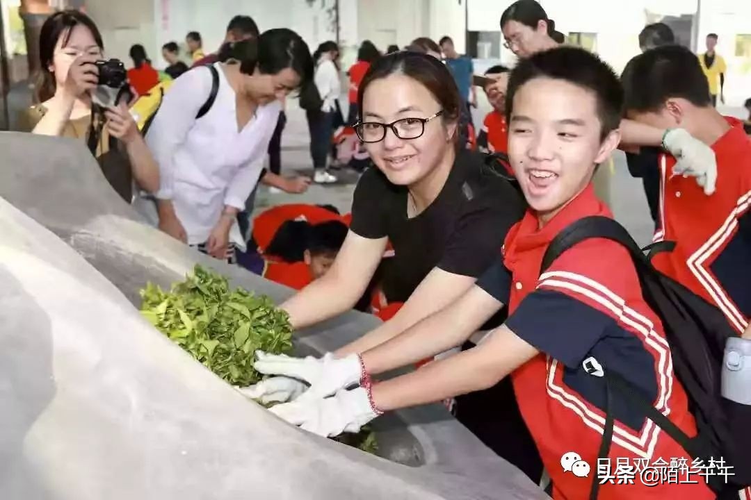 鹤山双好茶韵农耕研学基地值不值,江门茶文化研学基地