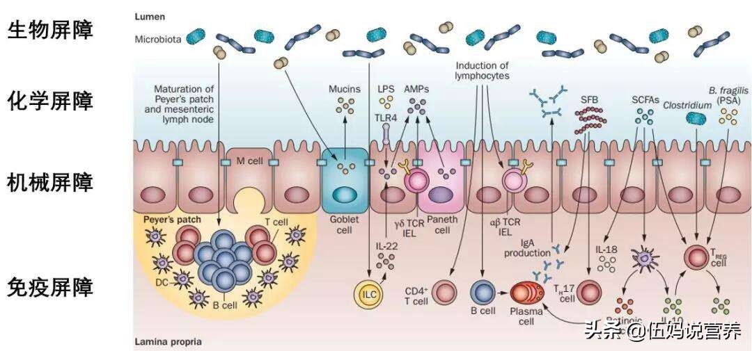 以前吃海鲜没事今年突然过敏了痒,以前吃海鲜过敏突然不过敏了
