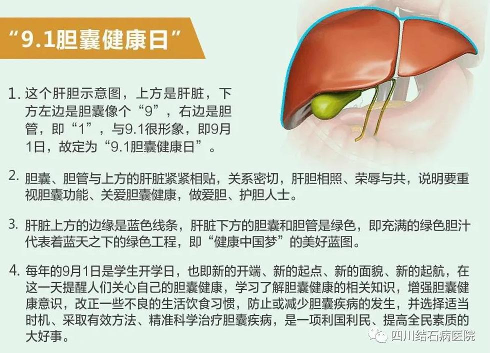 治胆结石是个小手术吗,胆结石是保胆好还是摘除好
