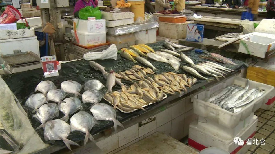 心痛的感觉！八种海鲜暂别啦