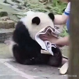 缺牙后果严重吗,缺牙的危害视频全过程