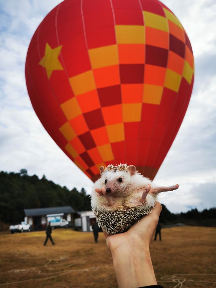 「第四期」一辆房车,三只毛孩子,三个姑娘,9476公里奇遇记