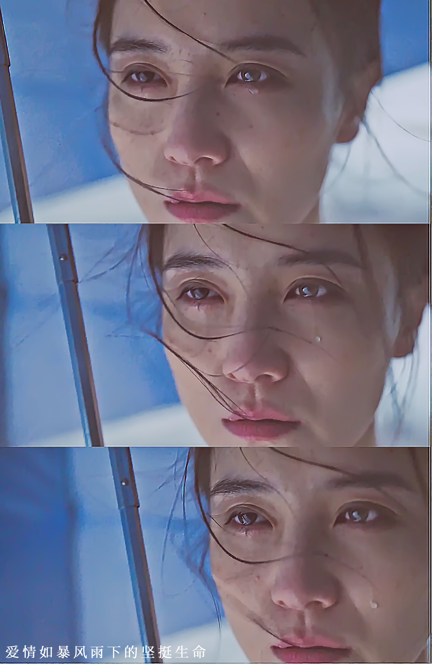 看完风平浪静的感触,风平浪静宋佳访谈