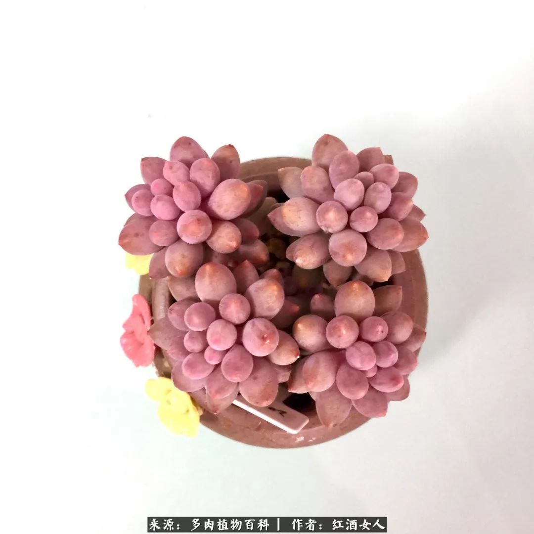 记录走过的美景留下美好的回忆,记录走过的每一段美好时光