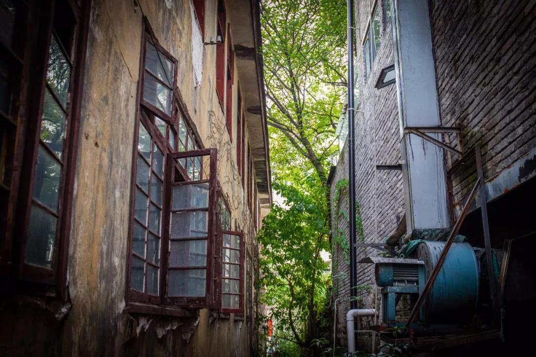 重庆鹅岭二厂和李子坝打卡地,重庆鹅岭二厂最好地方