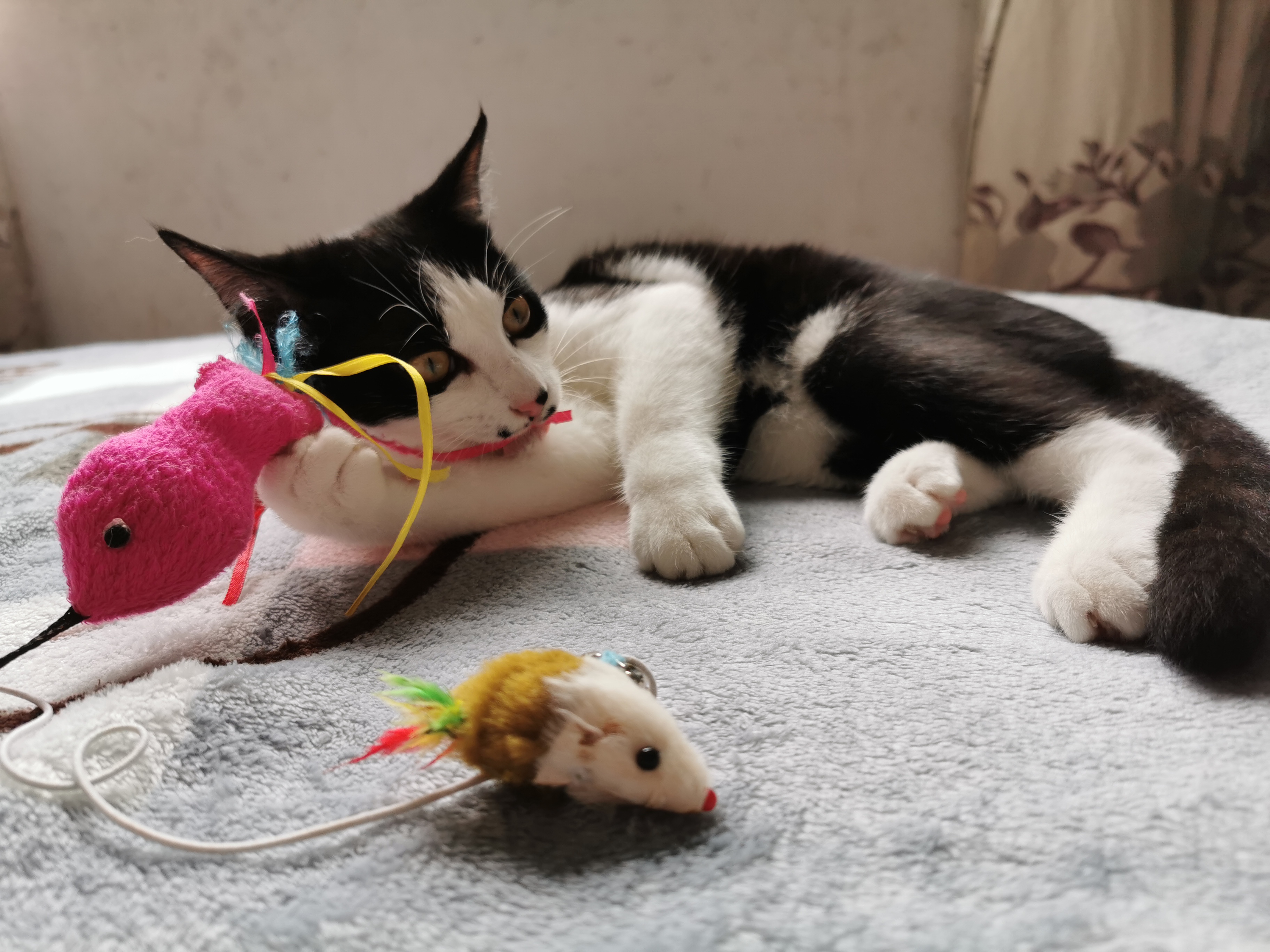 下雨天了我好想你歌词,下雨天了怎么办我好想你原版