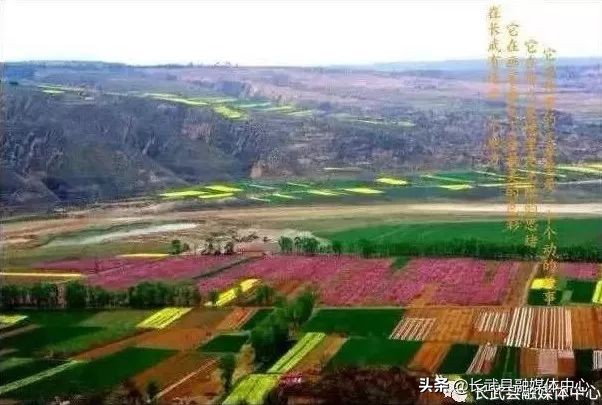 大美长武全部视频,把大好河山收藏