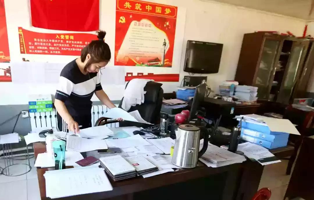 奈曼三花猫,奈曼三金