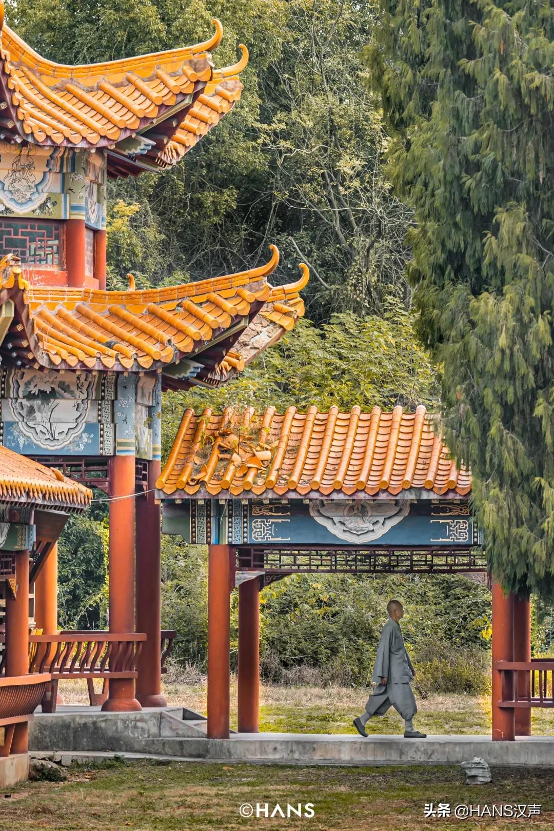 抖音网红为什么出家,灵泉寺武汉短期出家