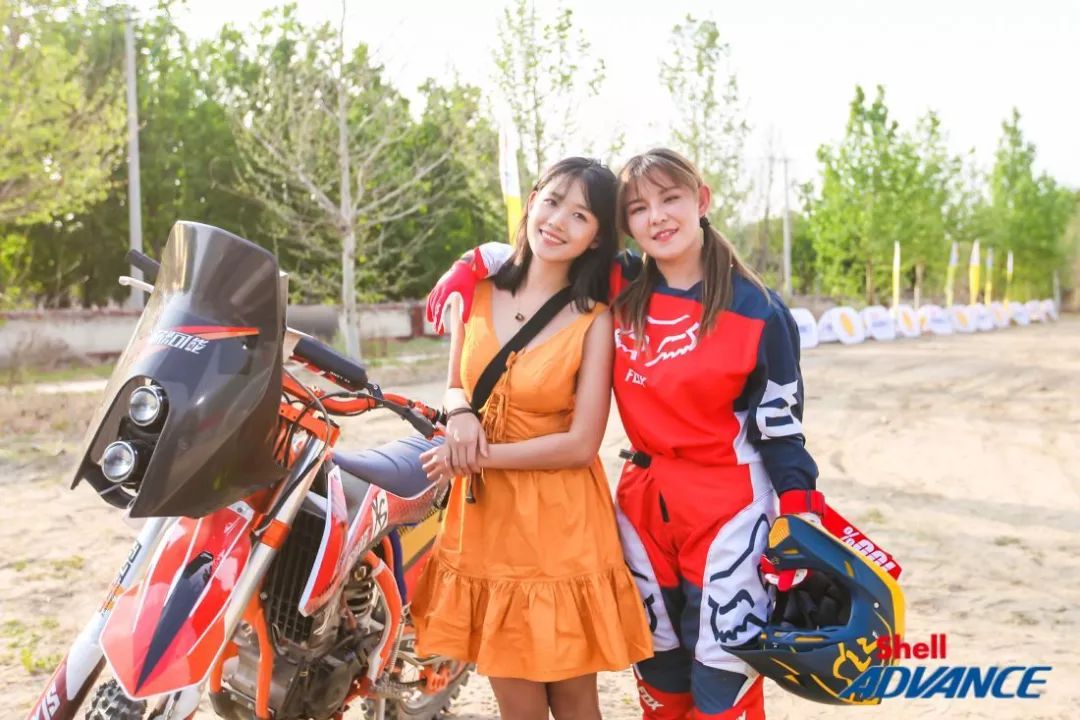 新品合成机油,壳牌机油新产品