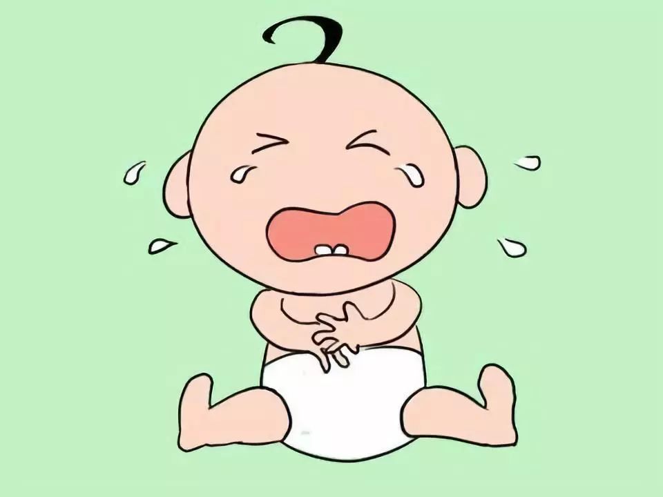 益生菌与肠道健康,益生菌与肠胃功能紊乱