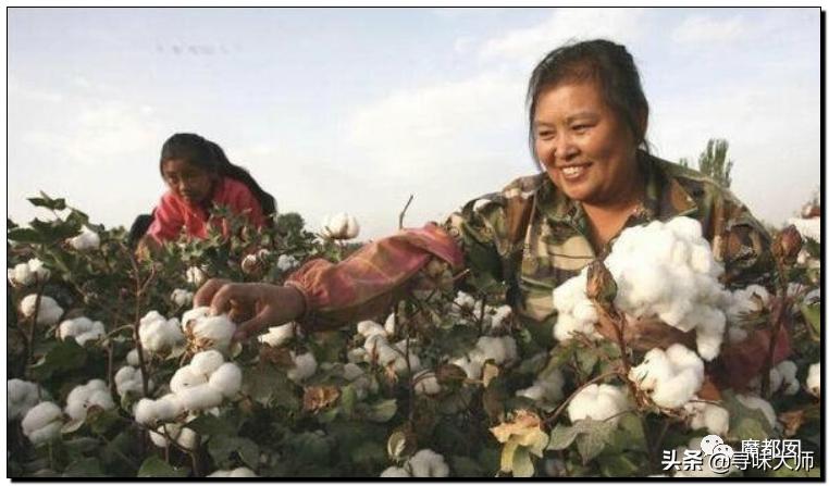 *辱侮**中国！HM、优衣库、ZARA、耐克、阿迪达斯等引公愤