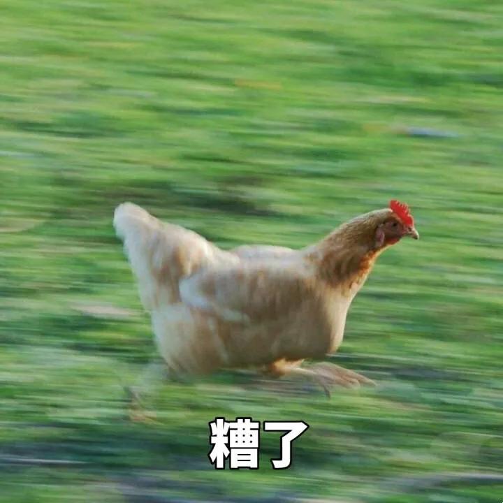 开学逆袭计划 | 平价学生表如何挑选?