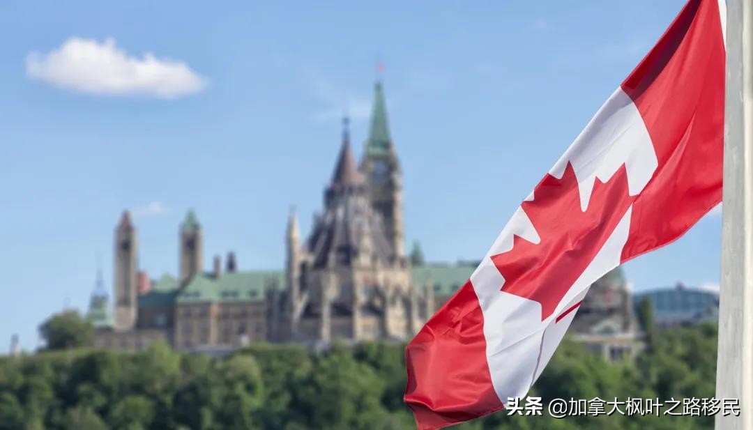 牛奶金涨了,工资补助涨了,房贷6个月不用还！加拿大太给力了