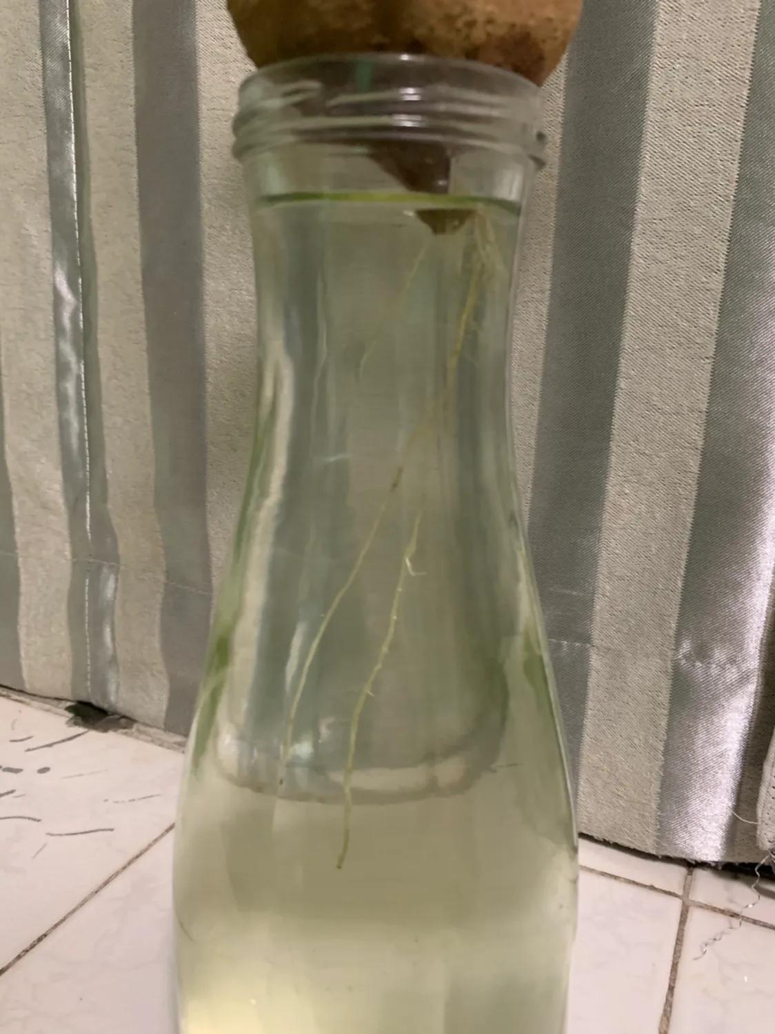 青少年打嗝怎么处理,孩子总打嗝怎么处理