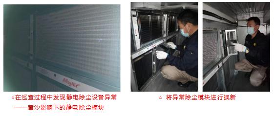 无惧狂沙卷土重来，金茂绿建为家筑起“绿色长城”