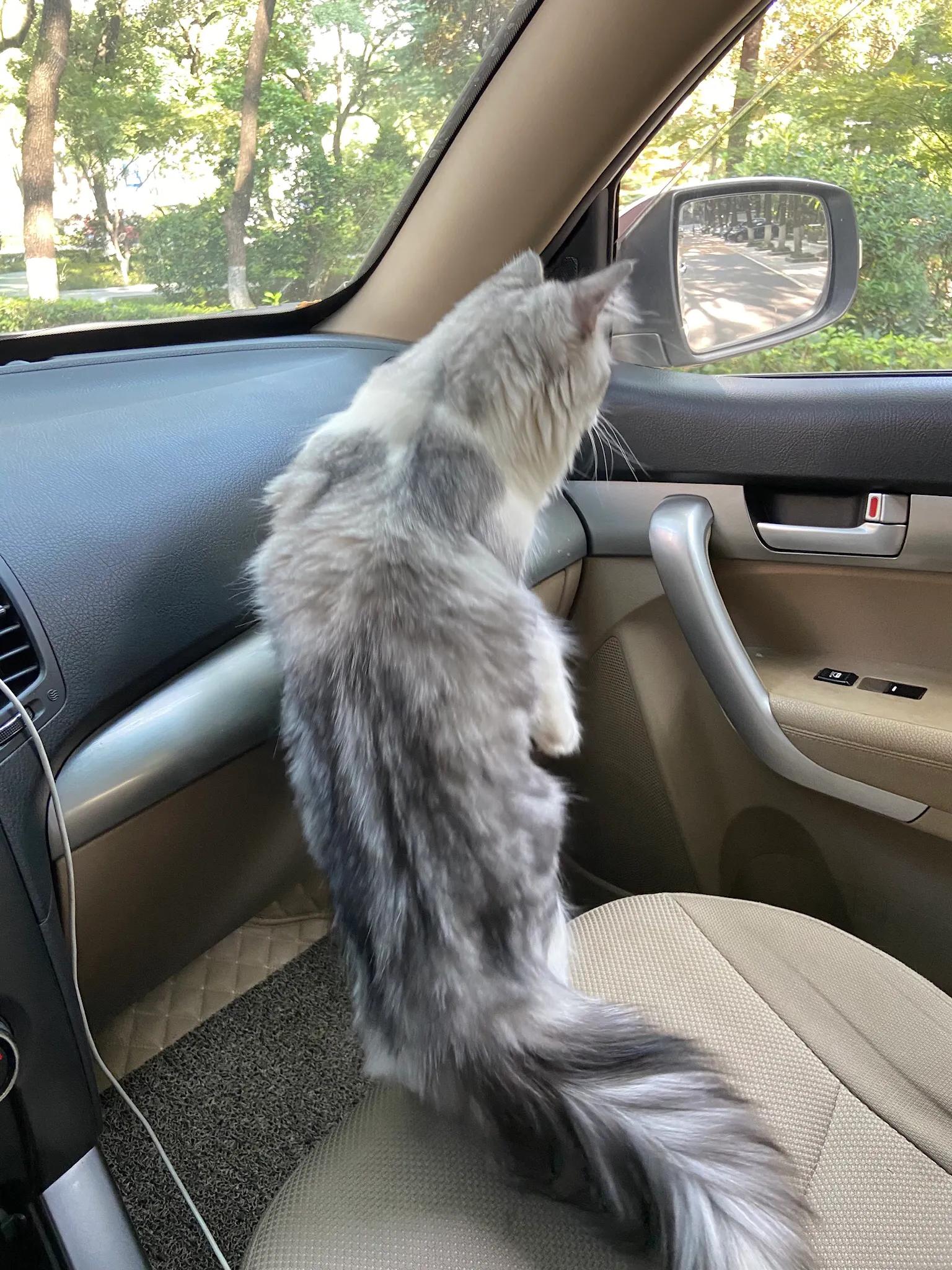 明天我的小屁屁要去深圳了