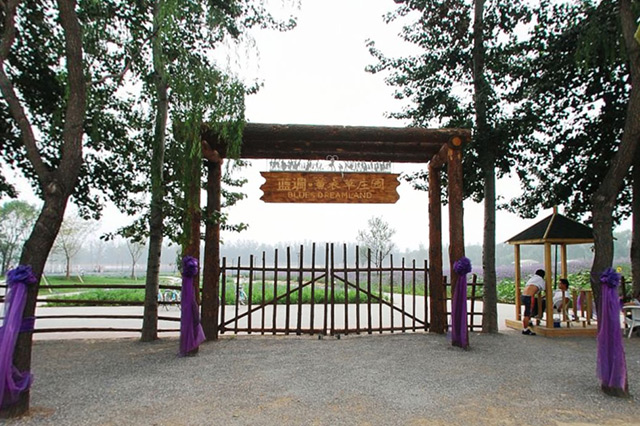 北京现在采摘园有什么可以摘,北京采摘园哪个最好玩