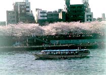 日本东京地铁攻略,日本东京旅游攻略景点大全