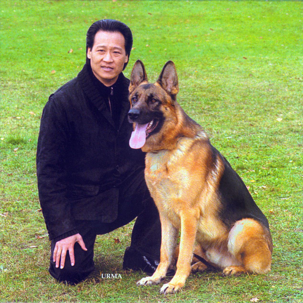 陈金飞杨采钰刘亦菲什么关系,刘亦菲陈金飞杨采钰真实关系揭秘