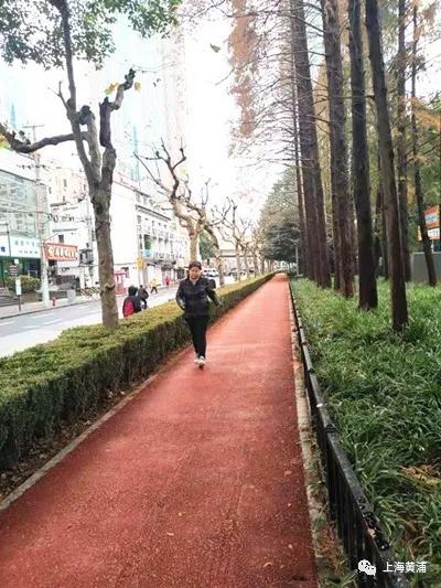 民生实事｜健身、益智、休闲……黄浦居民家门口的健身苑点“老少通吃”