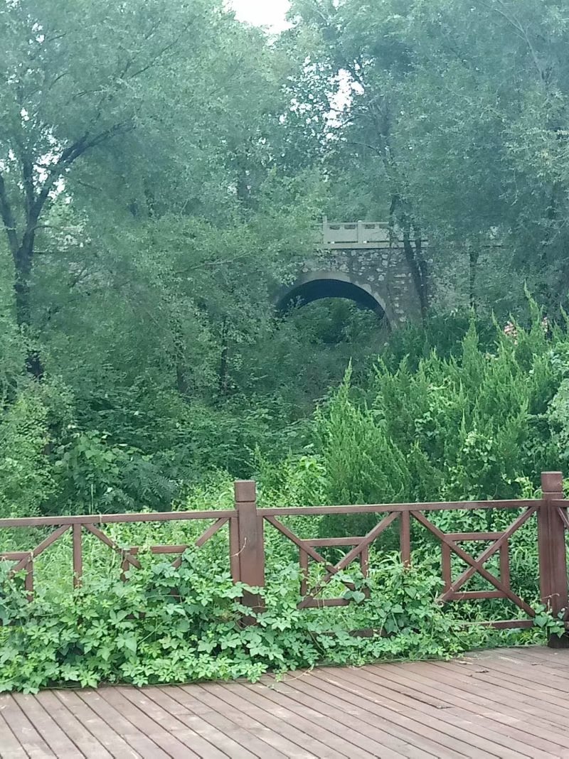 秋天的杨府山公园,秋天的泉山森林公园