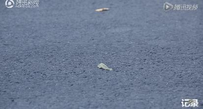 无差评小说推荐,无词条伤害最高的一套