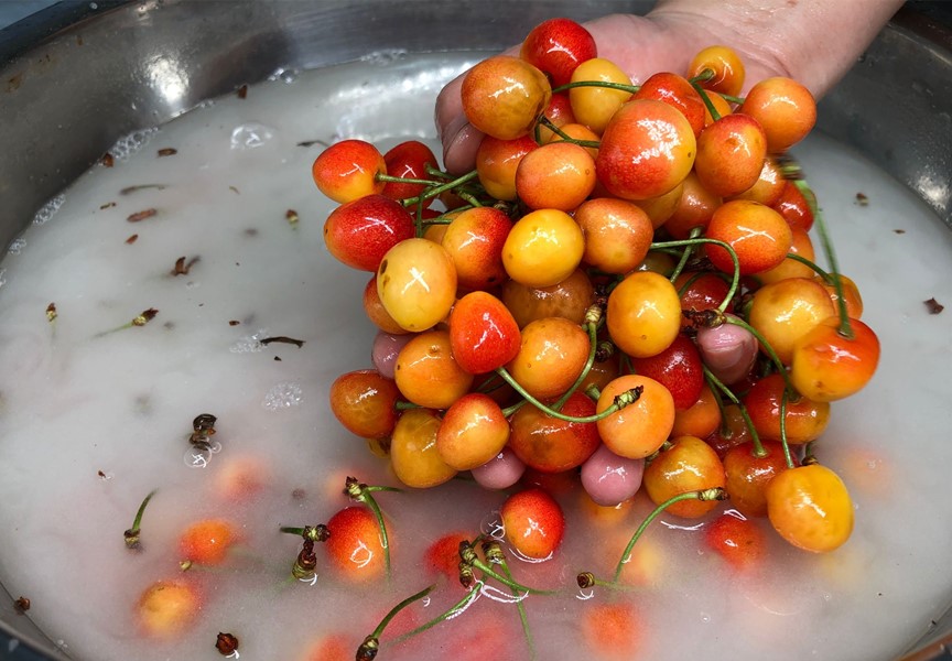 衣服樱桃渍怎么清洗,夏天樱桃的正确吃法