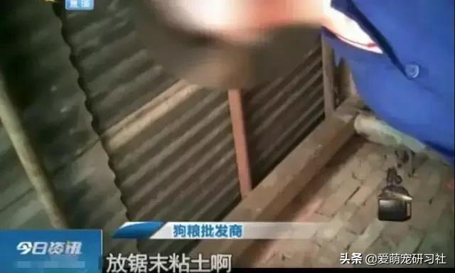 选狗粮不要按销量排序了！这样买狗粮，狗狗少说多活3年