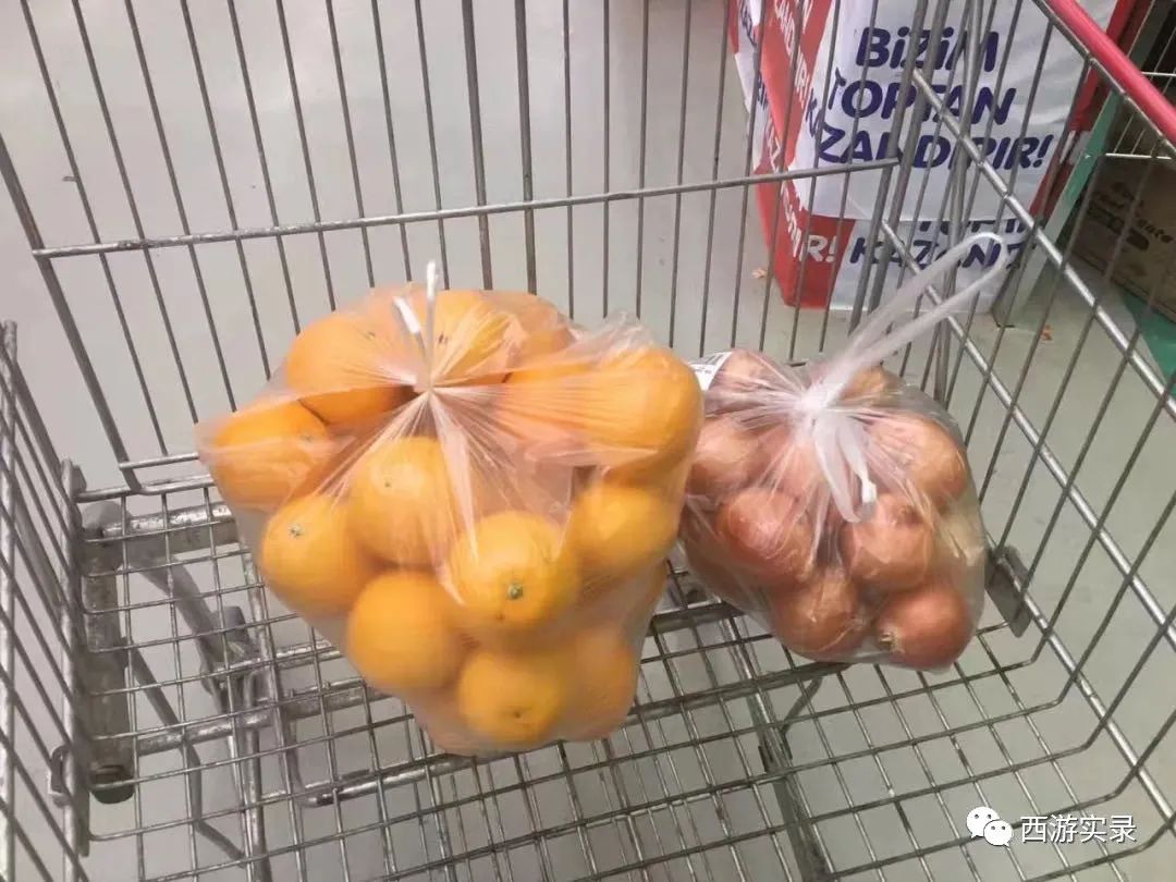 刚进希腊就被宰，还被狗看着，困雅典一星期