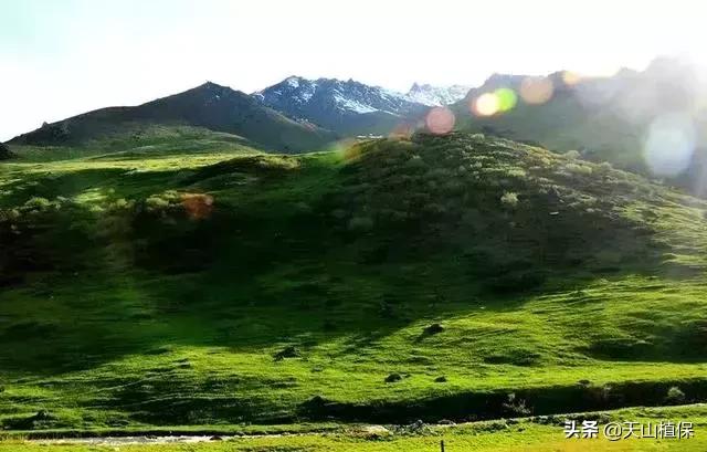 大美新疆百里画廊,北疆千里画廊打卡点