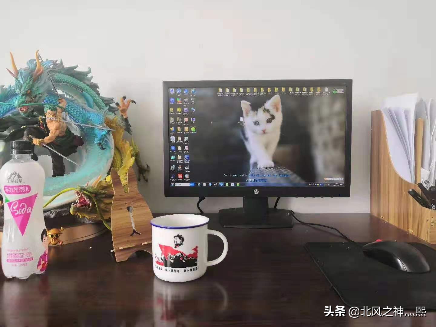 世界五百强工作感受,从世界500强辞职的人去哪里了