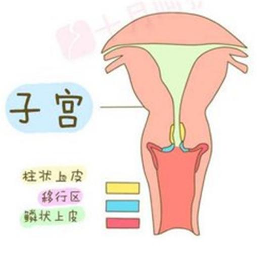 排卵期同房最易怀孕?如果这些地方出了问题,你同样难以受孕!