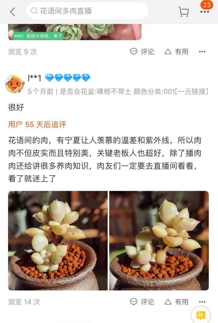 现实版《山海情》！宁夏宝妈创业种多肉带动本地妇女家门口就业