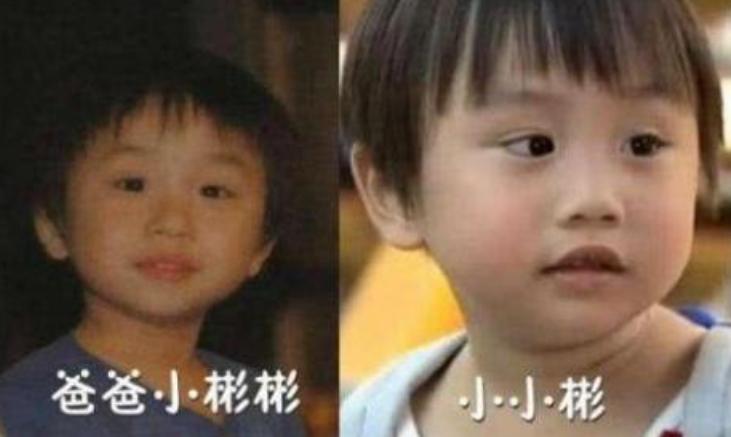 12位童星今昔对比,从知名童星沦落为阶下囚