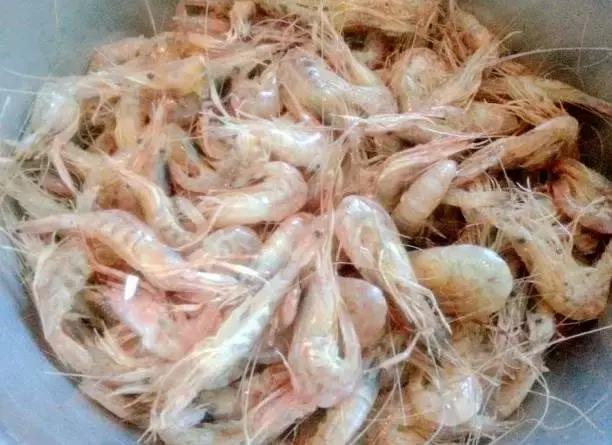 防城港怎么吃海鲜便宜不被坑,防城港干货海鲜有哪些