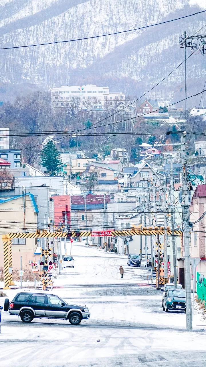 中国至今没被认全的20个邻居，个个身怀宝藏，你知道几个？