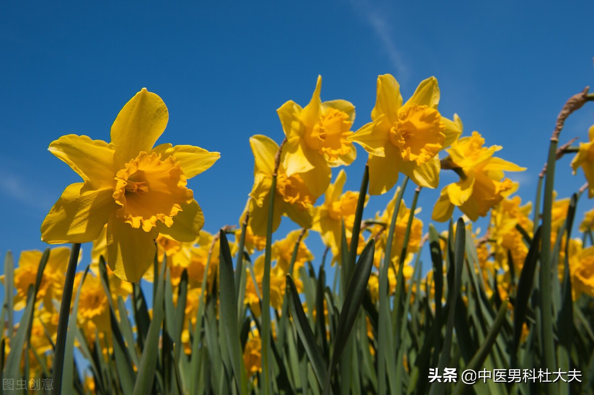肾虚湿热小便多怎么调理,小便混浊无力